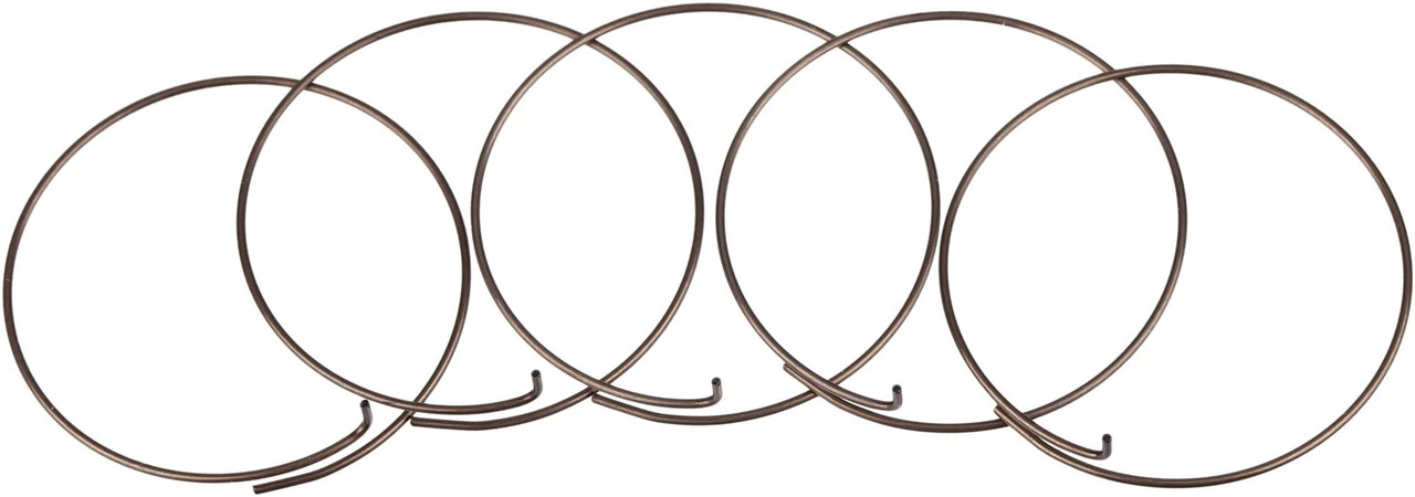 Fulcrum Sperrklinkenfedern 5-RM0-005 Für MTB Freilaufkörper 1 Fulcrum Sperrklinkenfedern 5-RM0-005 Für MTB Freilaufkörper