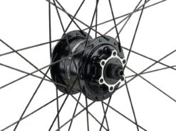 Mountain Alivio Disc 6-Loch DT Swiss 466d 29" Laufradsatz -Heimtrainer 399626