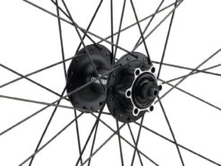 Mountain Alivio Disc 6-Loch DT Swiss 466d 29" Laufradsatz -Heimtrainer 399633